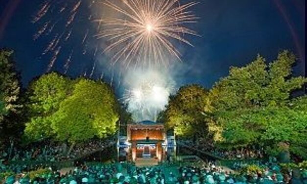 Andrea Mey, weimar gmbh