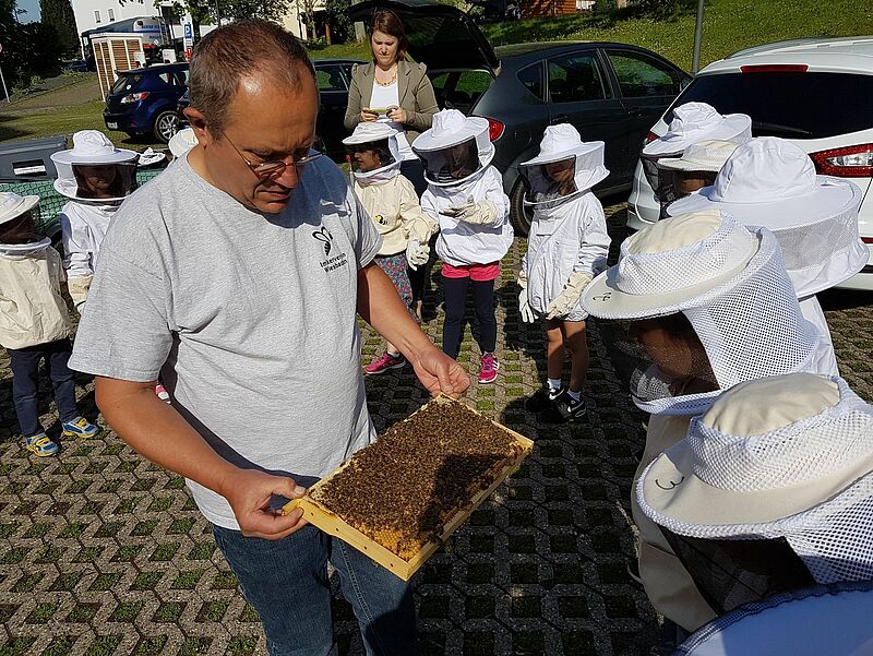 Bienentag Siggi Bienentag Siggi