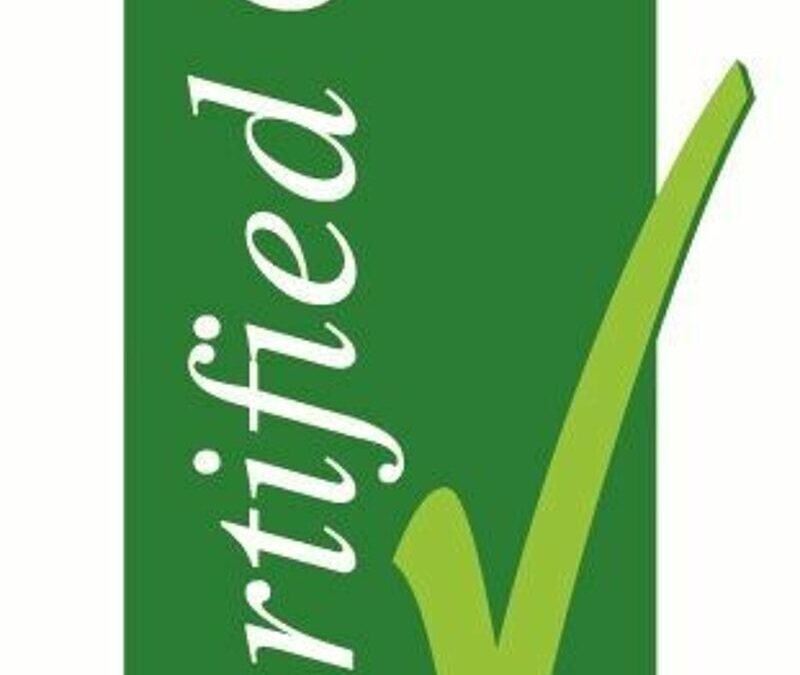 Frankfurt: VDR – Neues Zertifikat für nachhaltige Geschäftsreise- und Tagungshotels