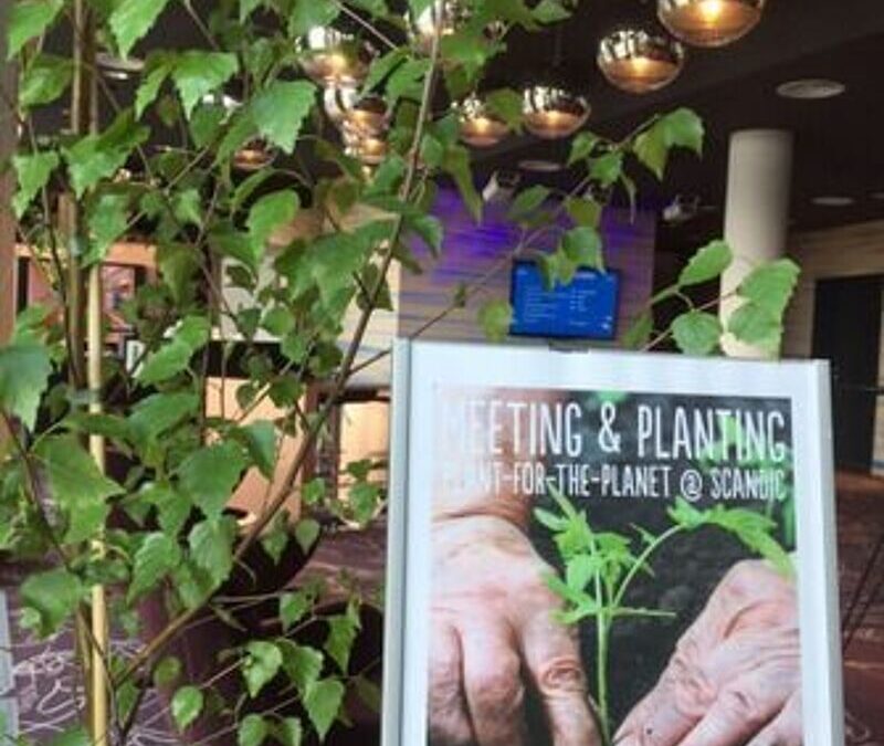 MEETING & PLANTING – PLANT-FOR-THE-PLANET @ SCANDIC