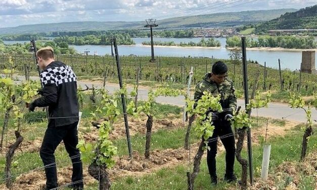 Dolce by Wyndham Bad Nauheim