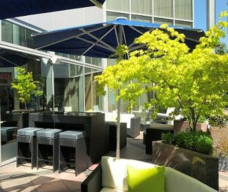 Summer in the City: Pommery Lounge vor dem Hotel Palace Berlin ist geöffnet