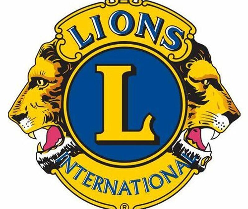 Lions Charity Box Gala am Samstag, den 20.04.2013 um 18.00 Uhr im Palace Hotel Berlin