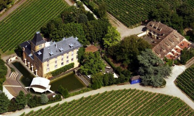 Luftaufnahme Ausschnitt