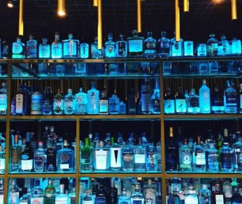 Anzeige: Hotel Palace: House of Gin – deine Gin-Bar in Berlin