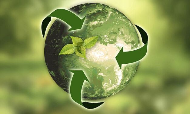 In ihrem Nachhaltigkeitsbericht strebt die RHG ehrgeizige Ziele in Sachen Klimaschutz und Menschenrechte an. Foto: anncapictures/pixabay