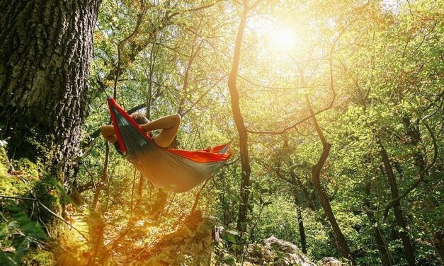 BWH - Hotel Group - Sehnsuchtsorte