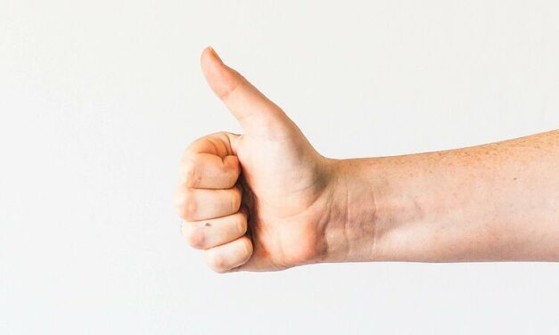 Foto: Unsplash/Sincerely Media