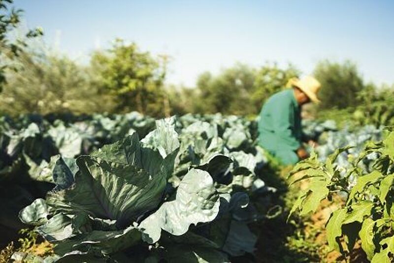 World Environment Day 1