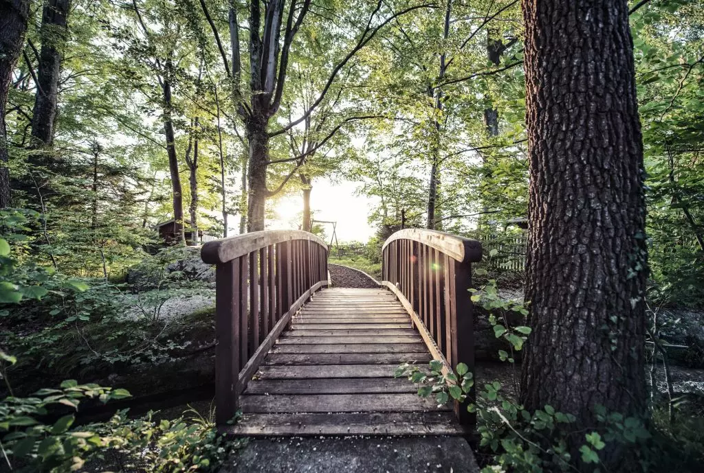 Foto: Schlossgut Oberambach/Robert Kittel