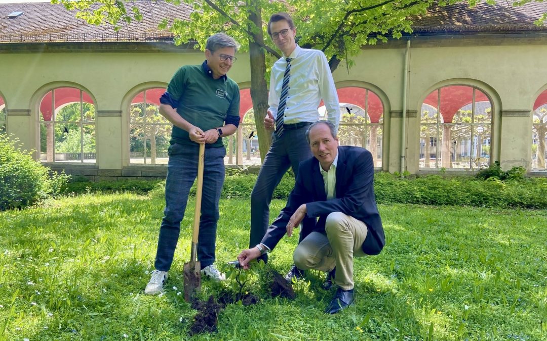 Dolce by Wyndham Bad Nauheim: Der Nachhaltigkeit verpflichtet