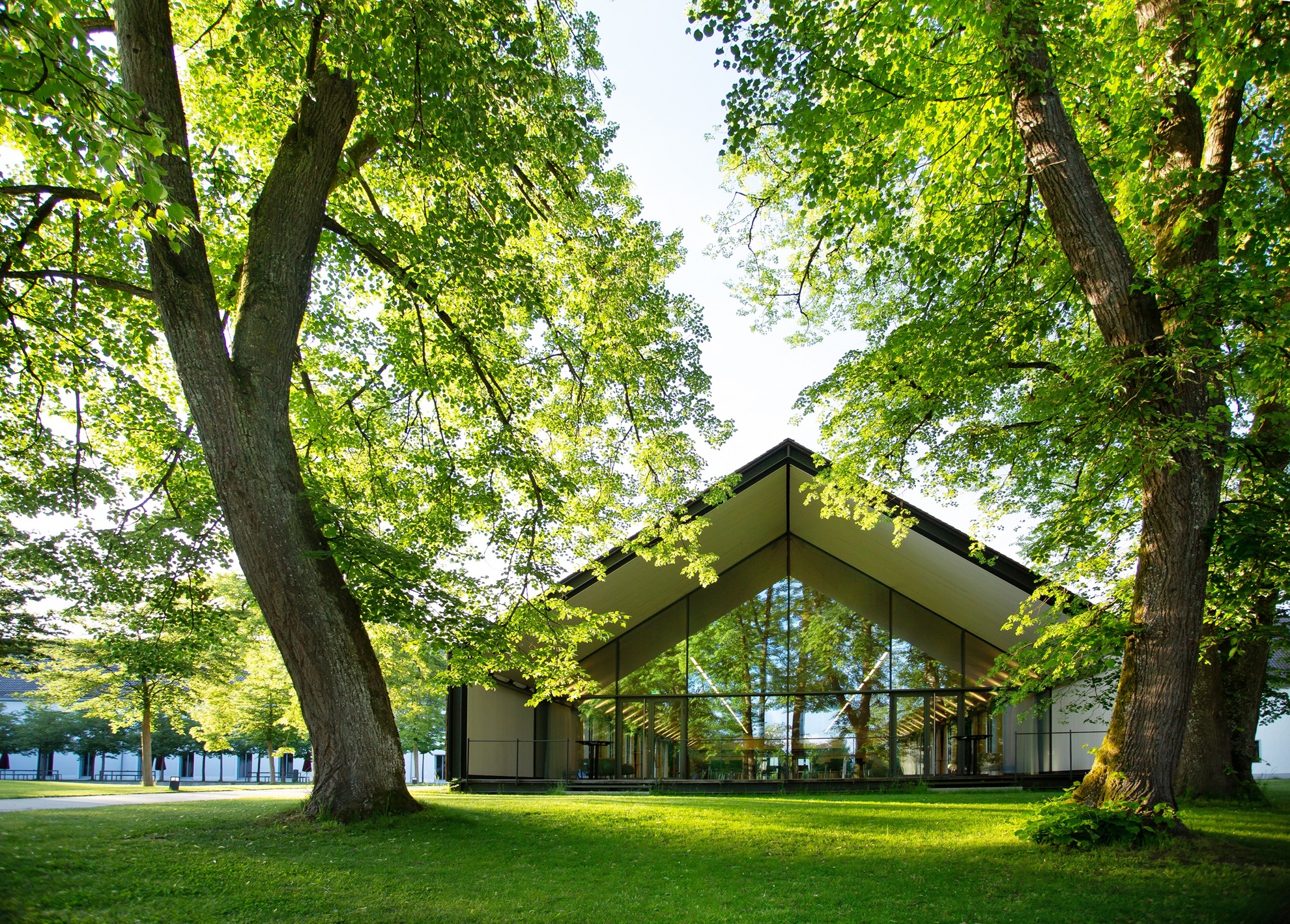 Cambridge von Außen Große Bäume mit Blick auf Halle mit großem Satteldach und großen Glasflächen